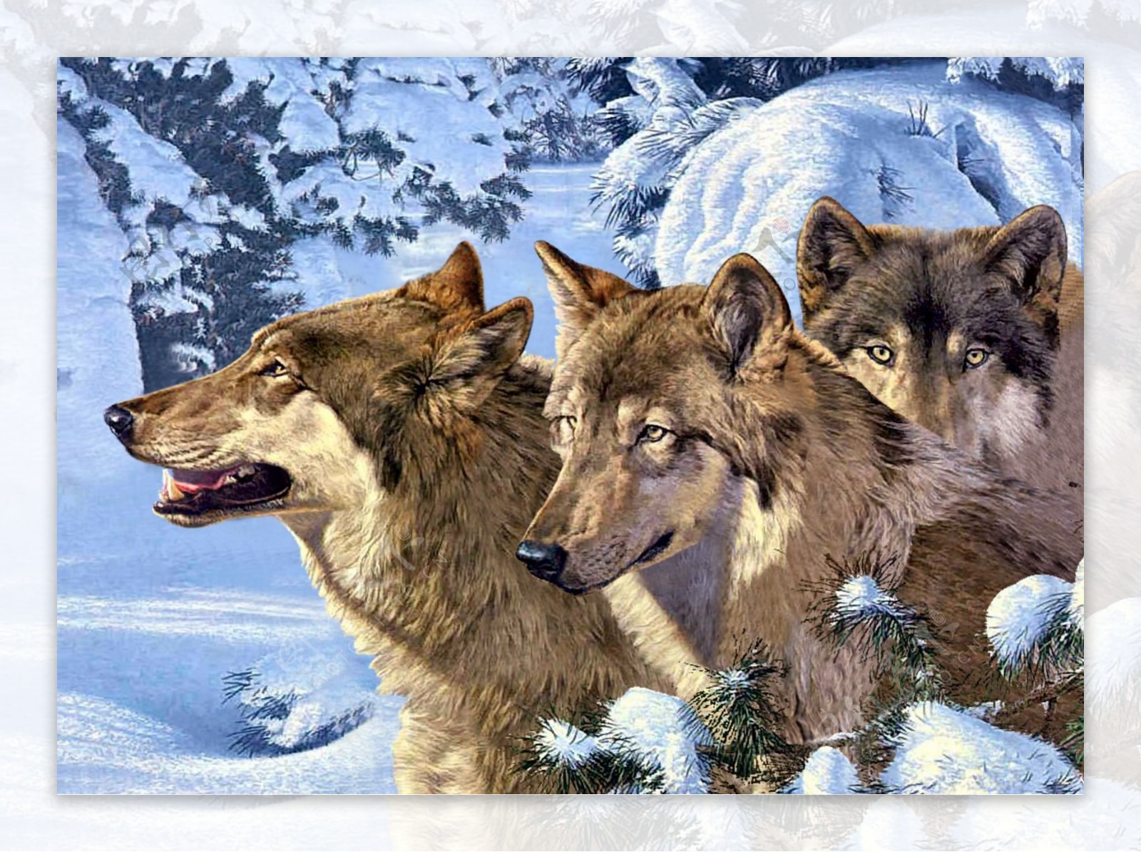 三匹狼3D立体光栅图PSD下载