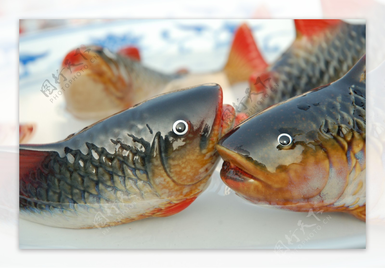 如何区分我们日常生活中吃的最多的鱼（如草鱼、鲮鱼、鲫鱼 、鲩鱼等）的种类？ - 知乎