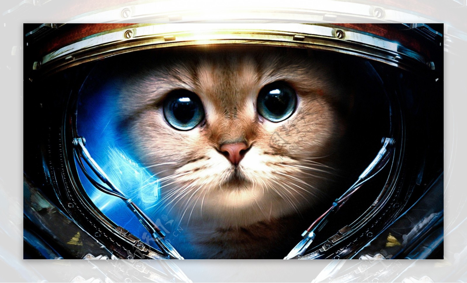 可爱太空猫咪