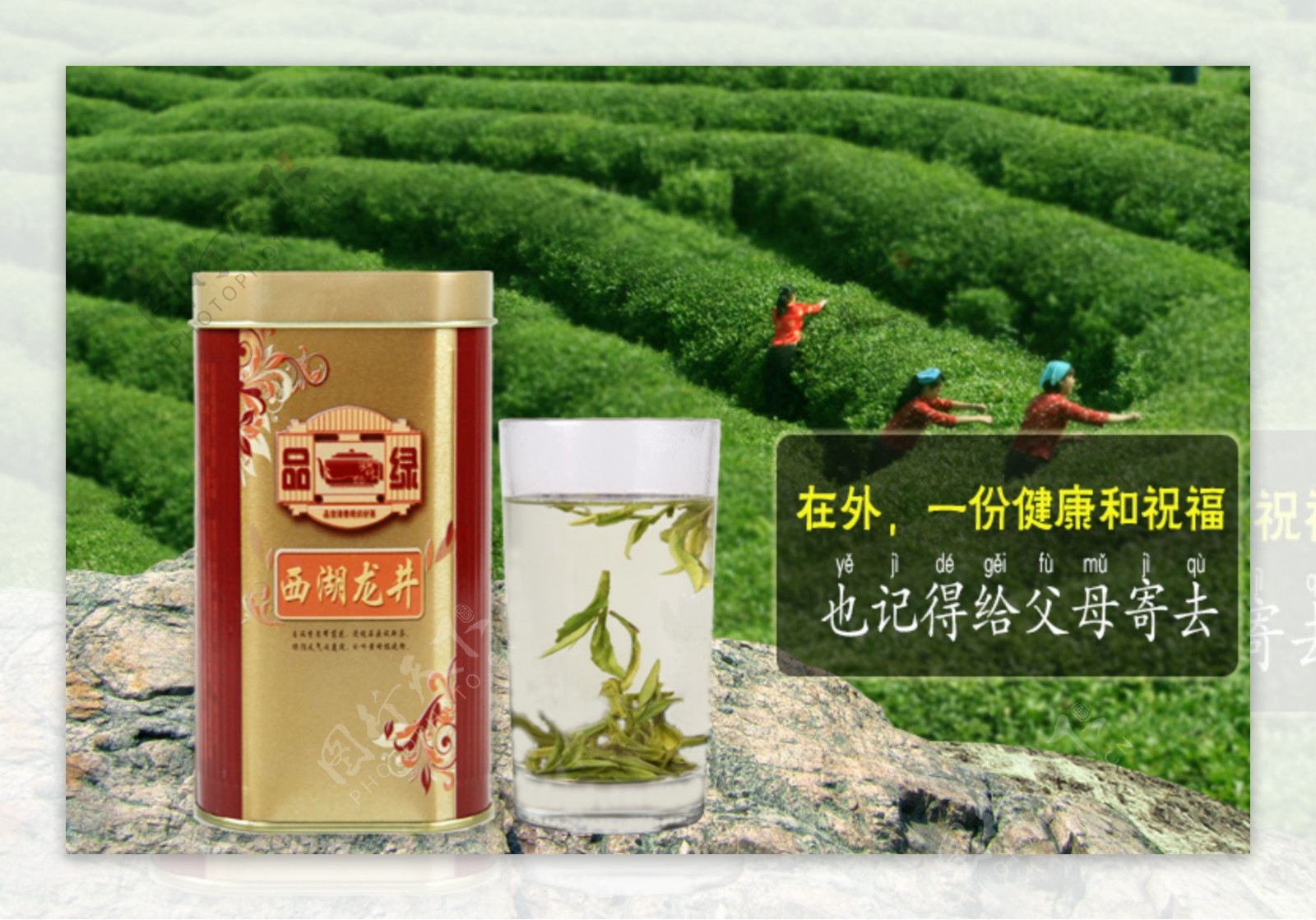 茶叶淘宝详情页海报