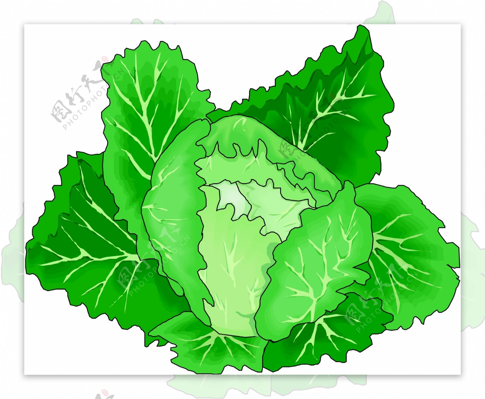 手绘蔬菜插画设计图__其他_动漫动画_设计图库_昵图网nipic.com