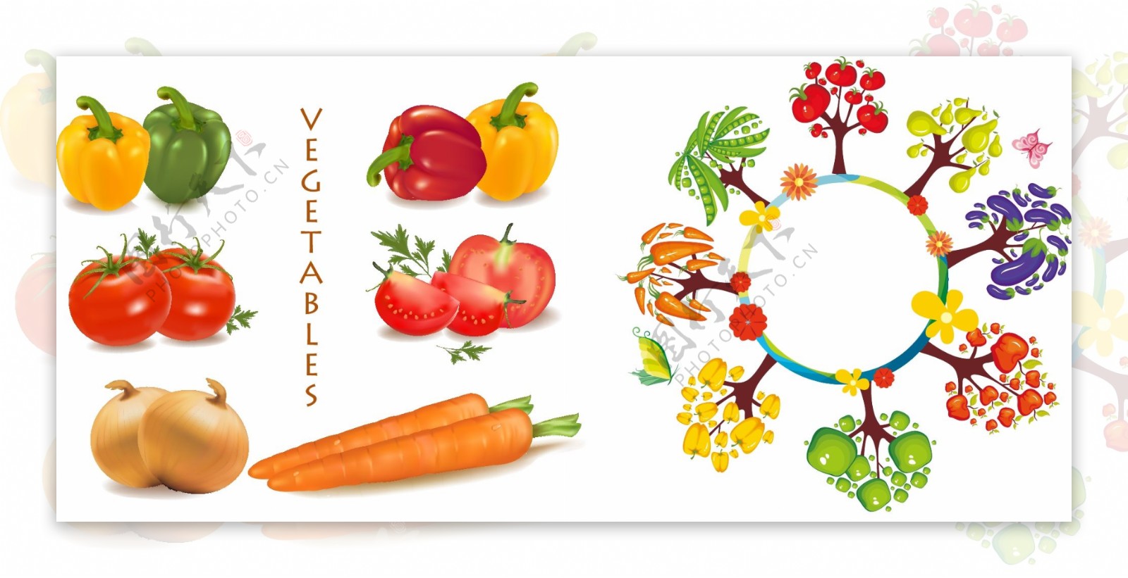 卡纸蔬菜,卡纸做蔬菜水果图片,新奇特蔬菜_大山谷图库