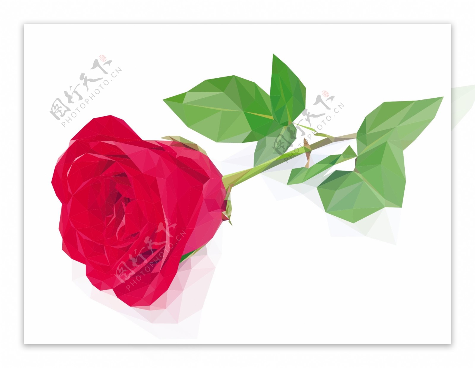 玫瑰花矢量素材图片