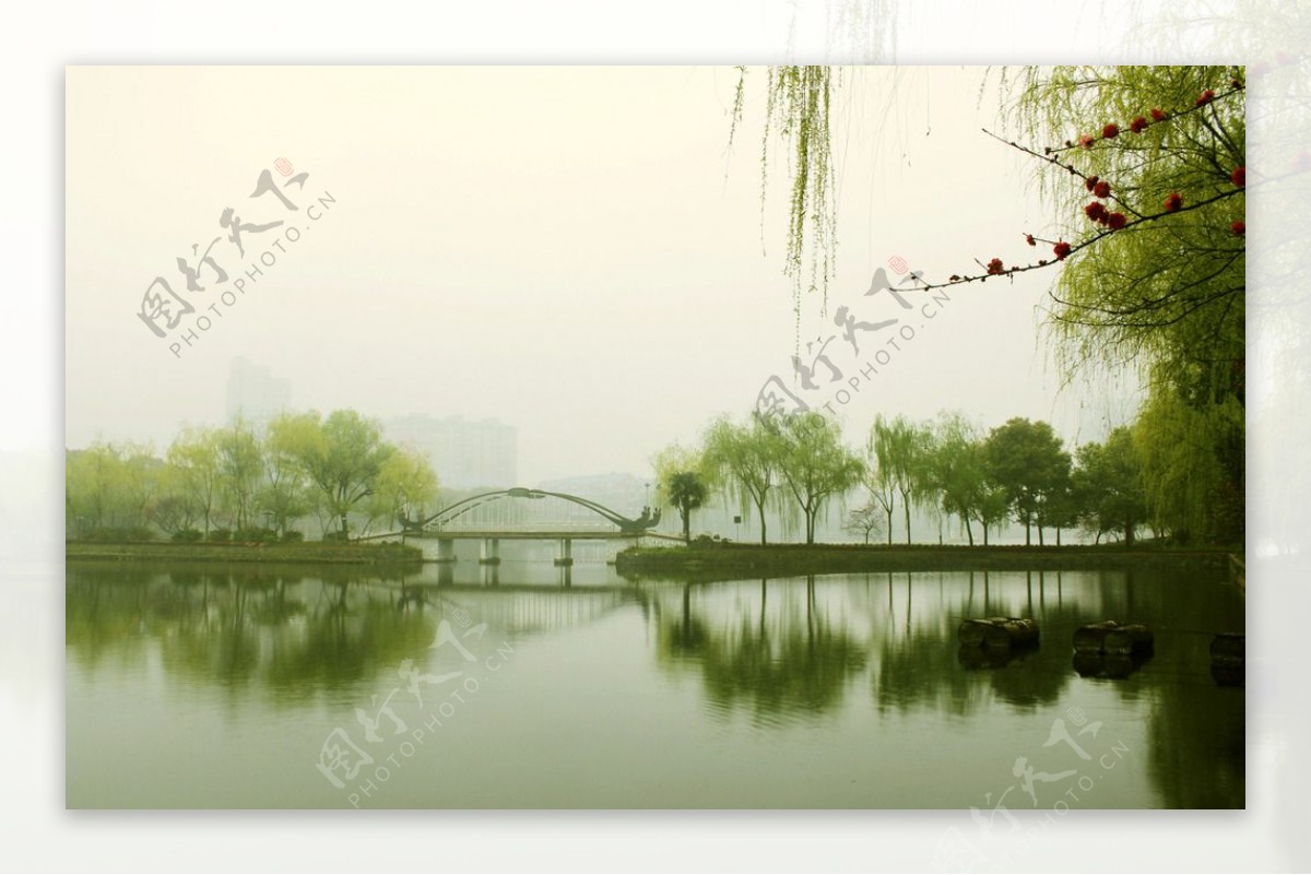 湖边树影图片