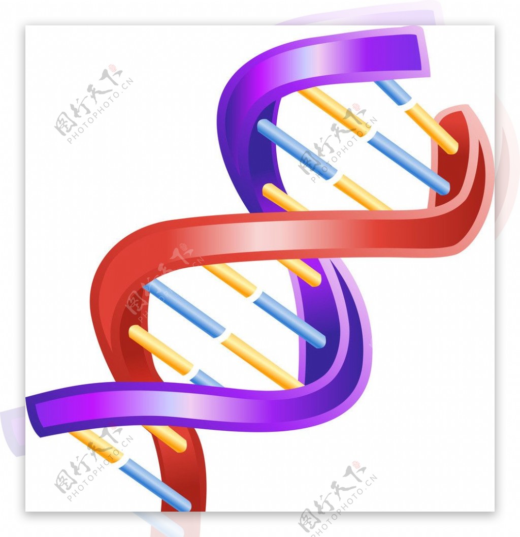 DNA遗传基因图片素材-编号01955065-图行天下
