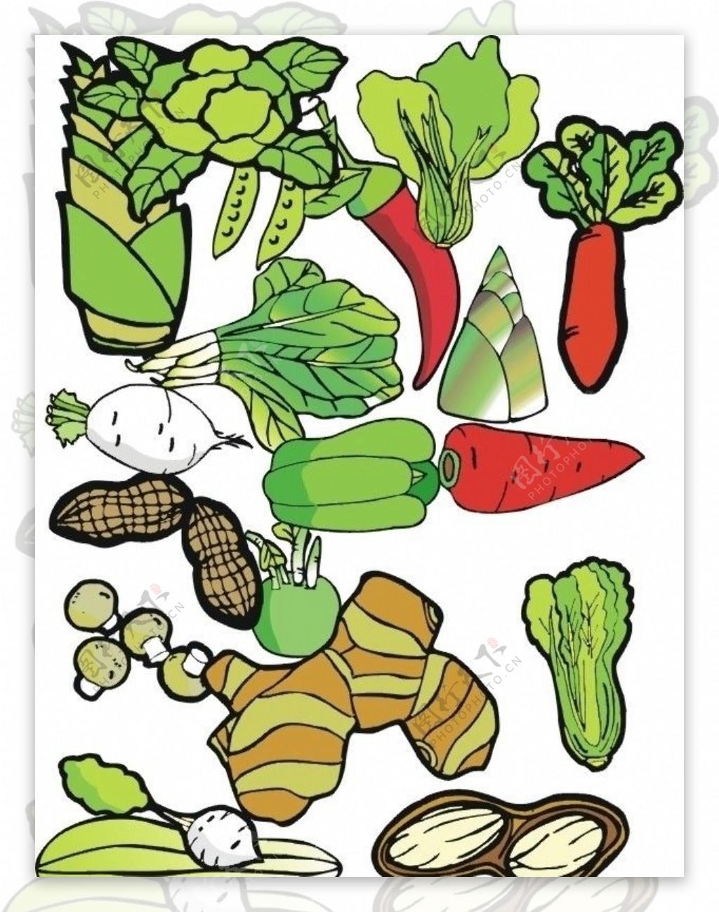 矢量蔬菜合辑4图片