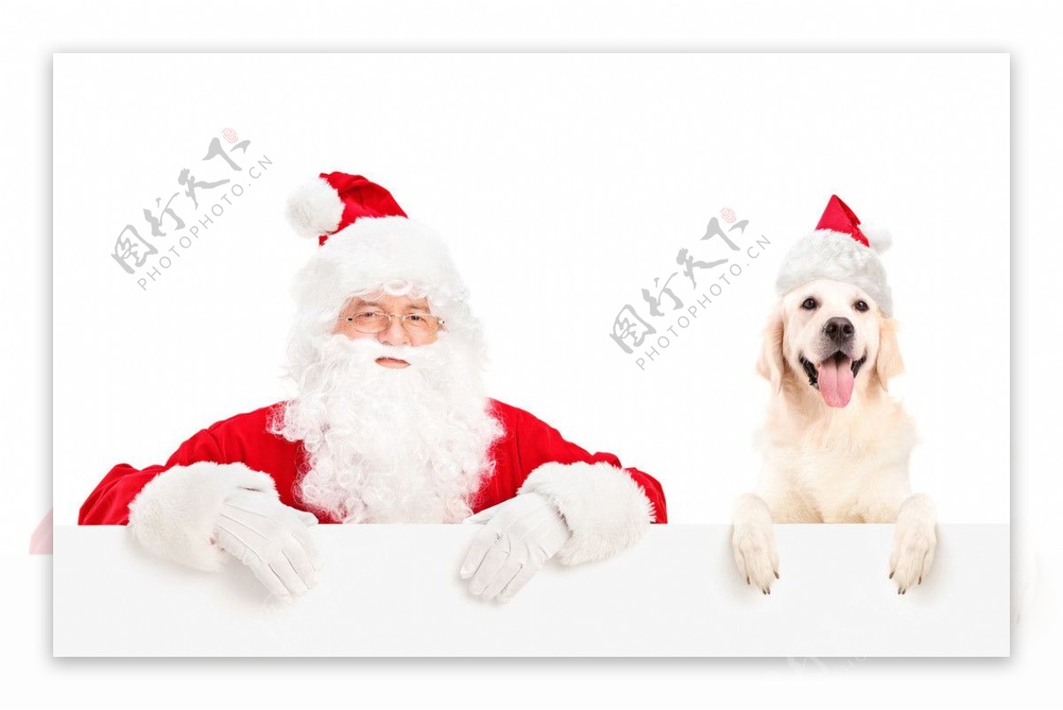 圣诞老人与狗狗图片