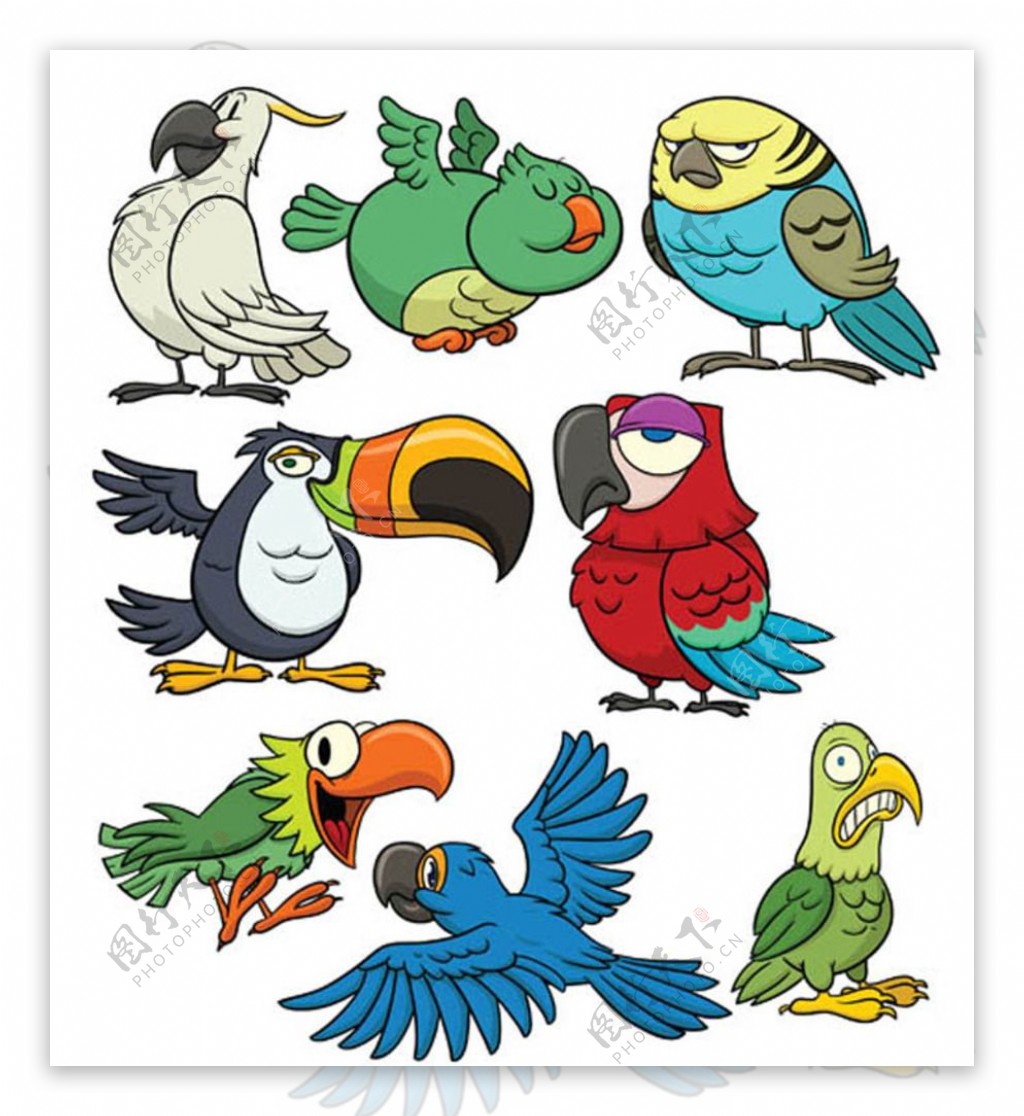 各种鸟卡通图图片