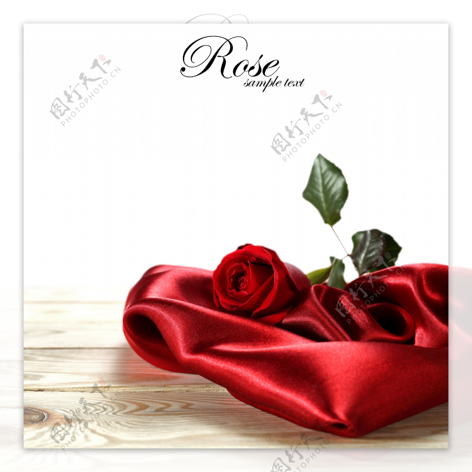 玫瑰花图片素材-编号16328565-图行天下