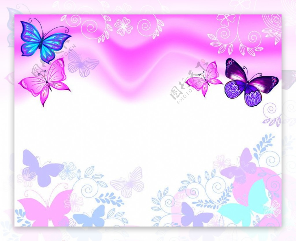 时尚花卉花纹蝴蝶背景图片