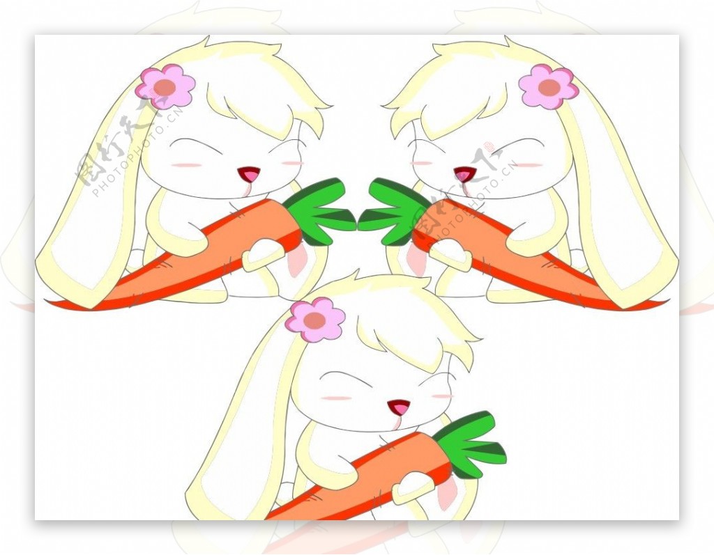 卡通兔子吃胡萝卜图片