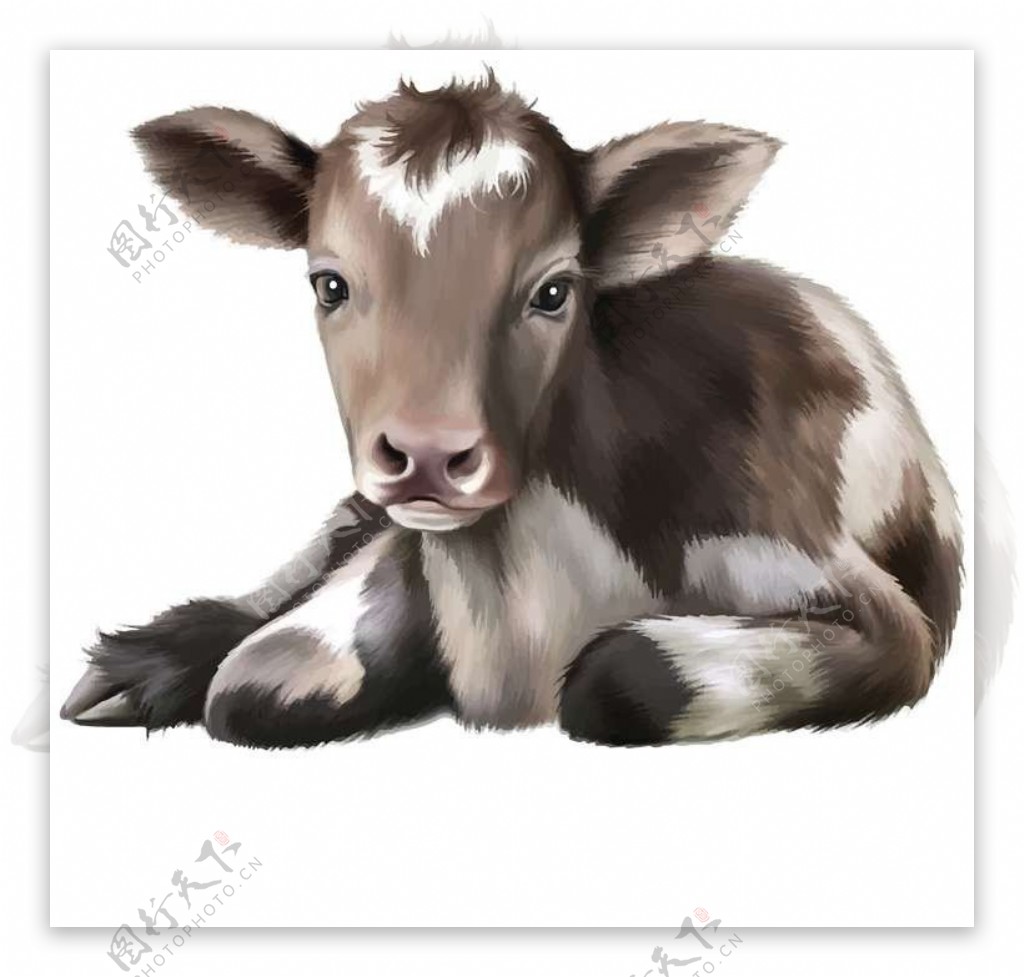 奶牛卡通动物设计动画图片