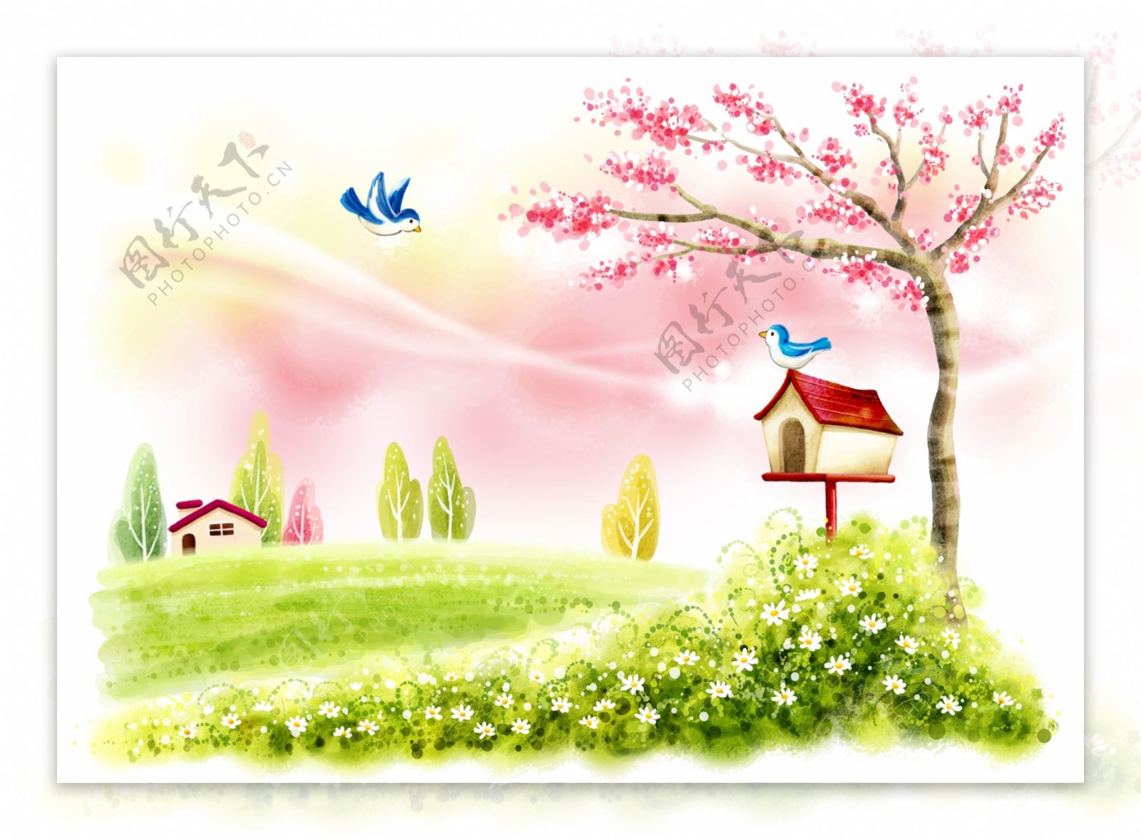 夏日风景鸟类邮箱小屋手绘插画图片