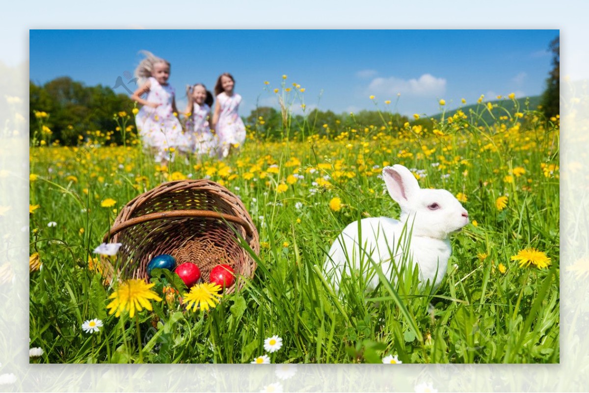 复活节彩蛋鲜花兔子图片