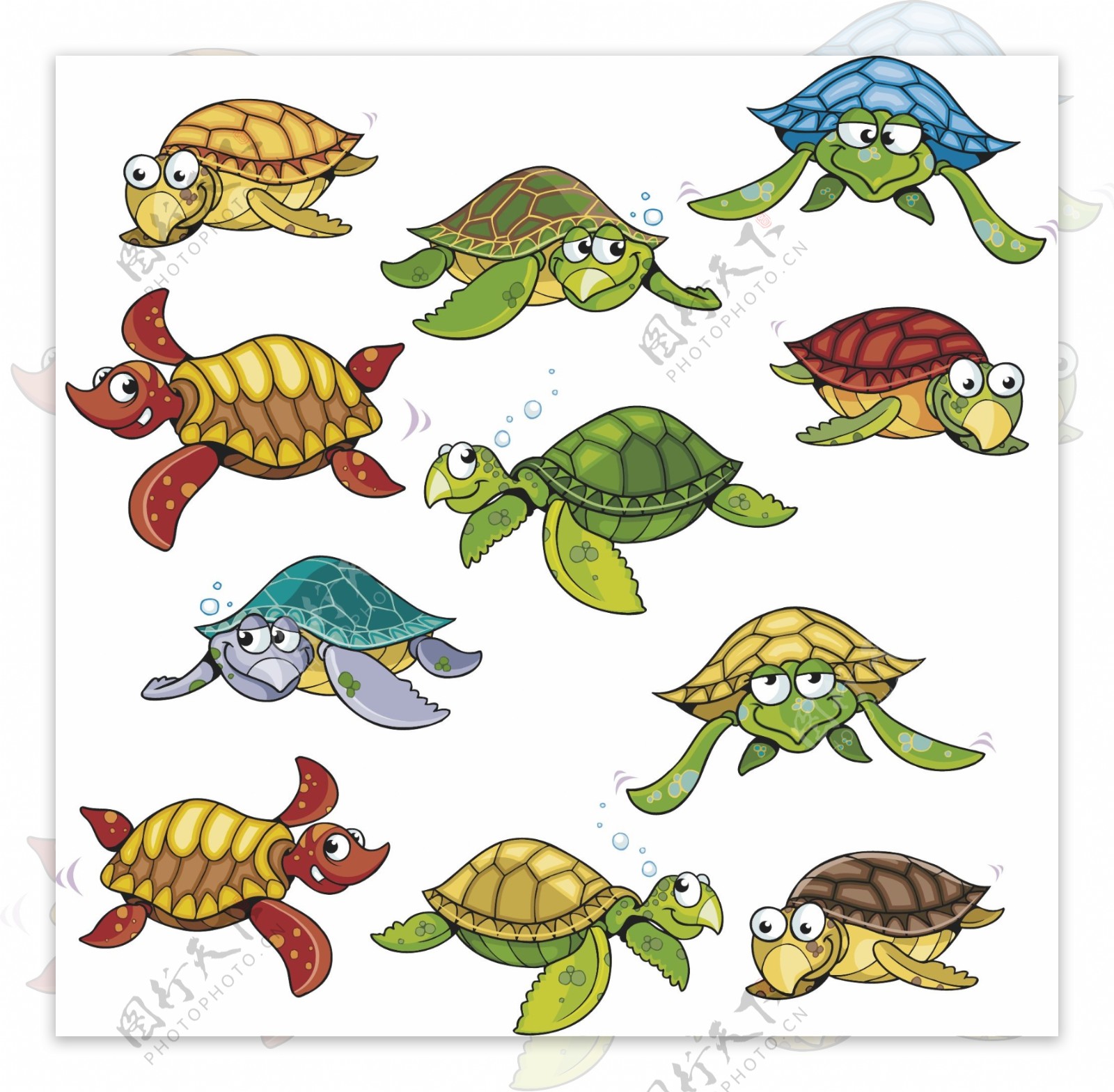 海龟卡通形象图片