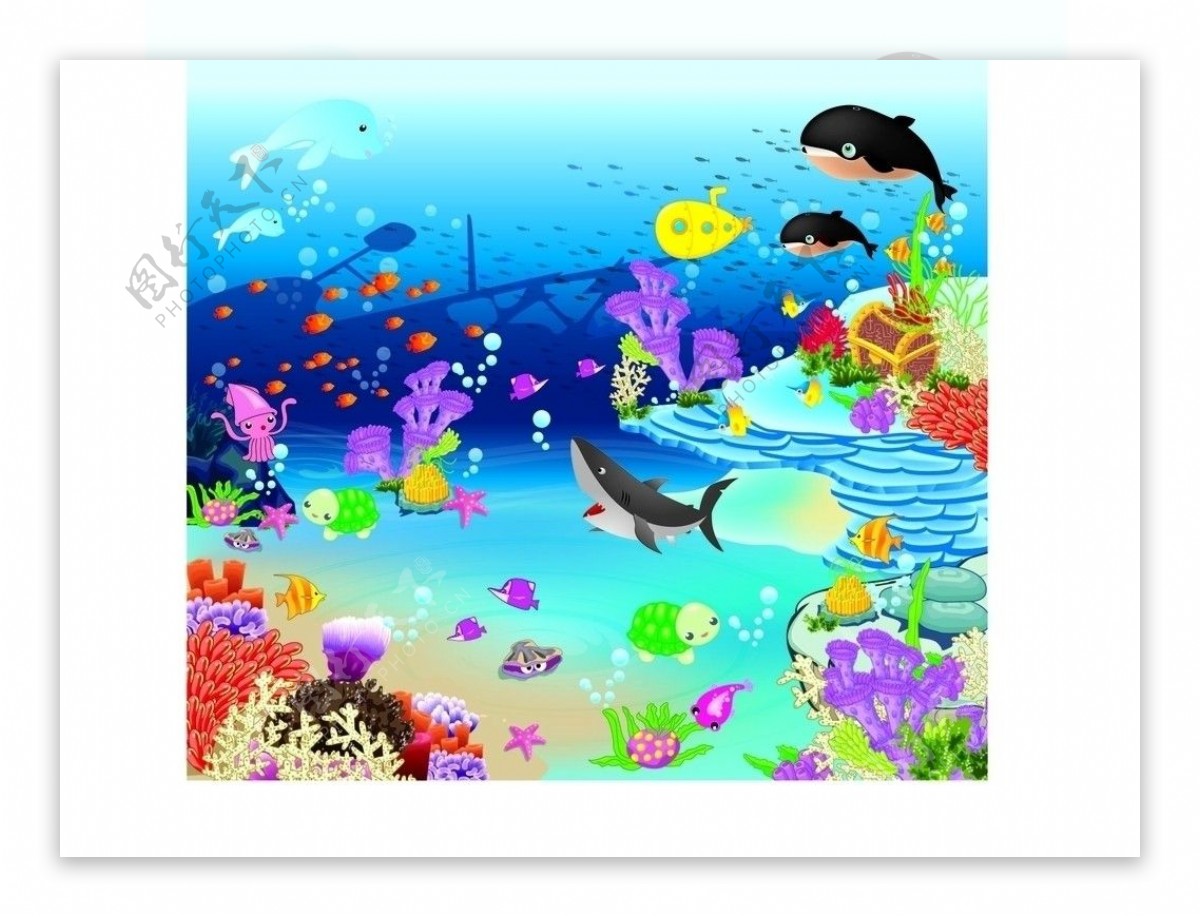 海洋动物图片