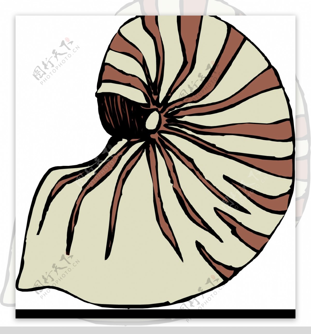 海螺水彩画 海螺彩绘作品图片 - 第 3 - 水彩迷