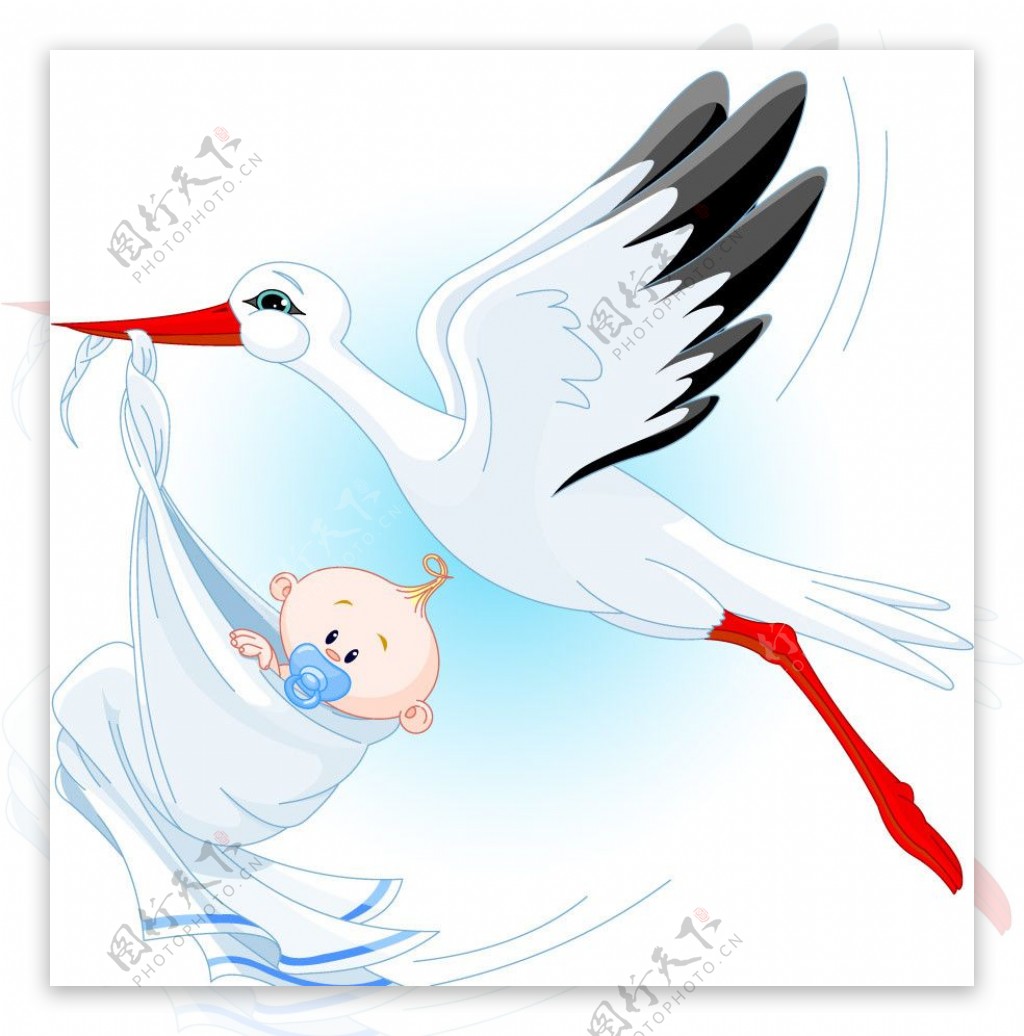 衔着婴儿宝宝飞翔的天鹅图片