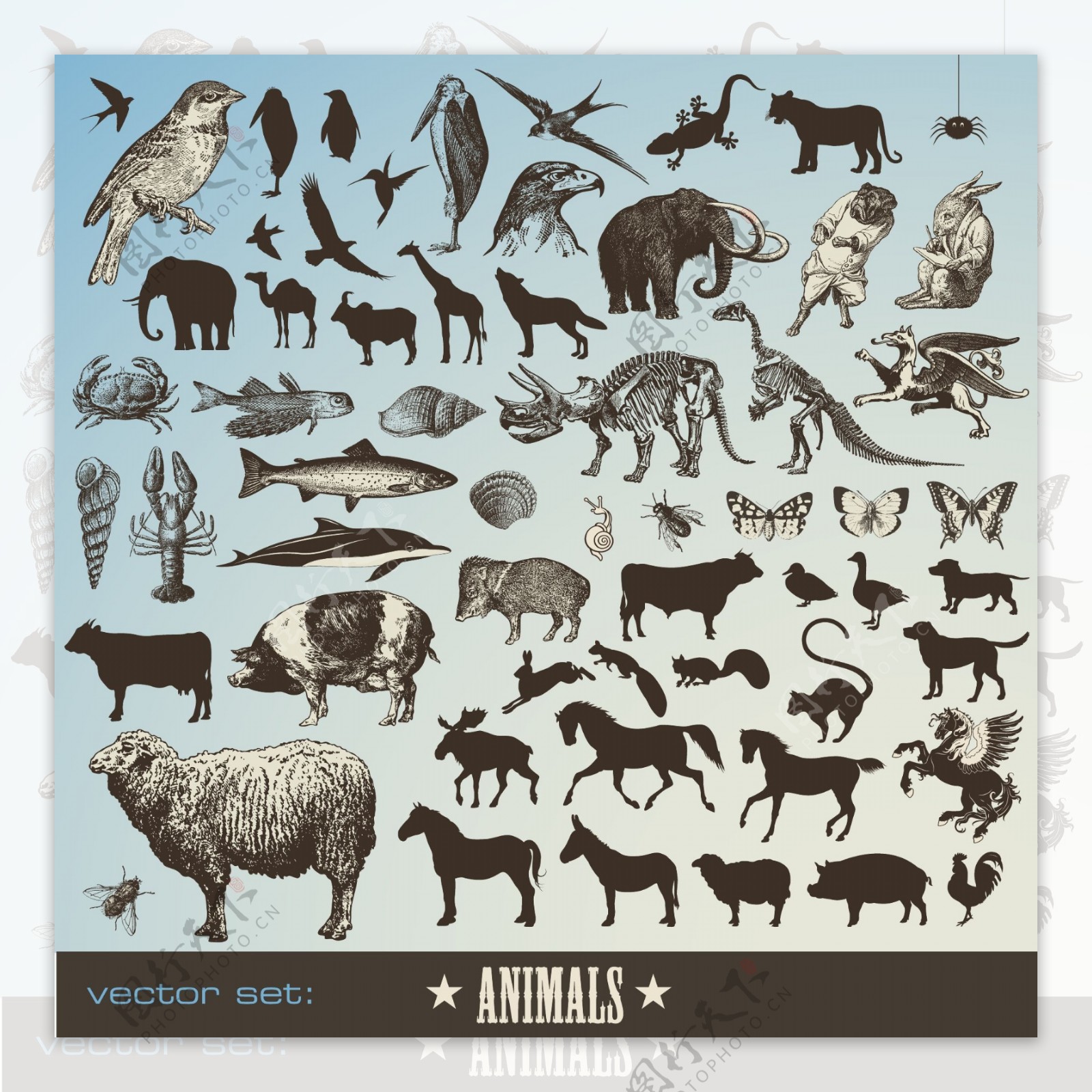动物图标矢量素材图片