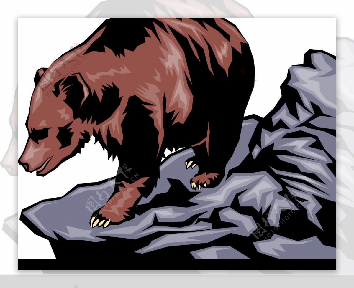 棕熊2图片