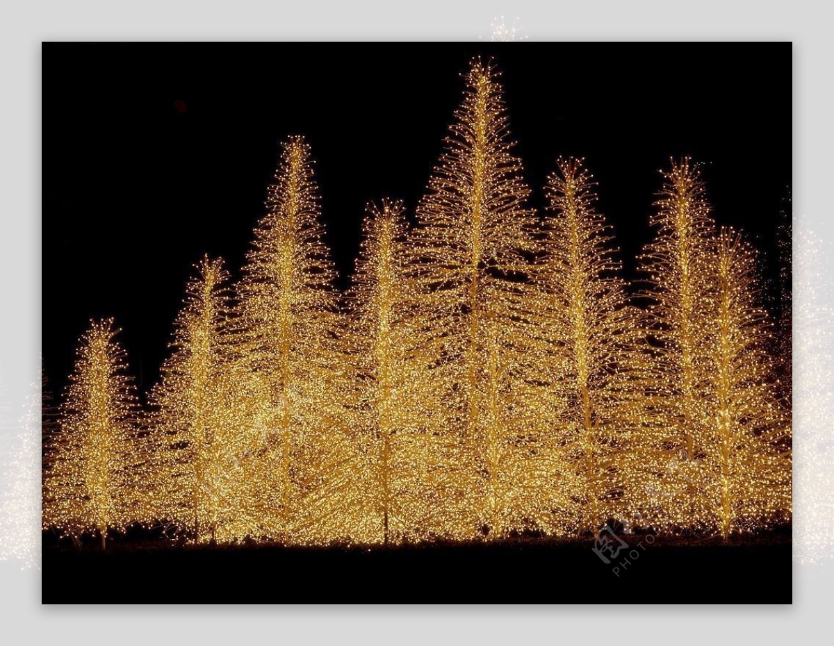 高精圣诞相关11金色圣诞灯树图片
