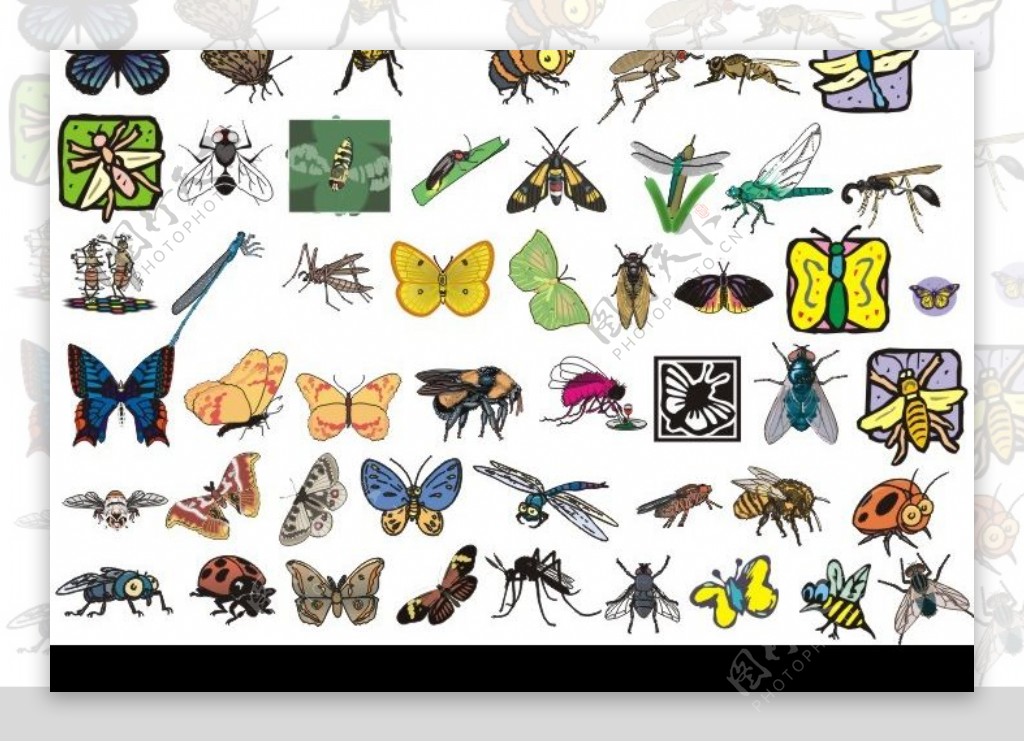 98种飞虫形态矢量图图片