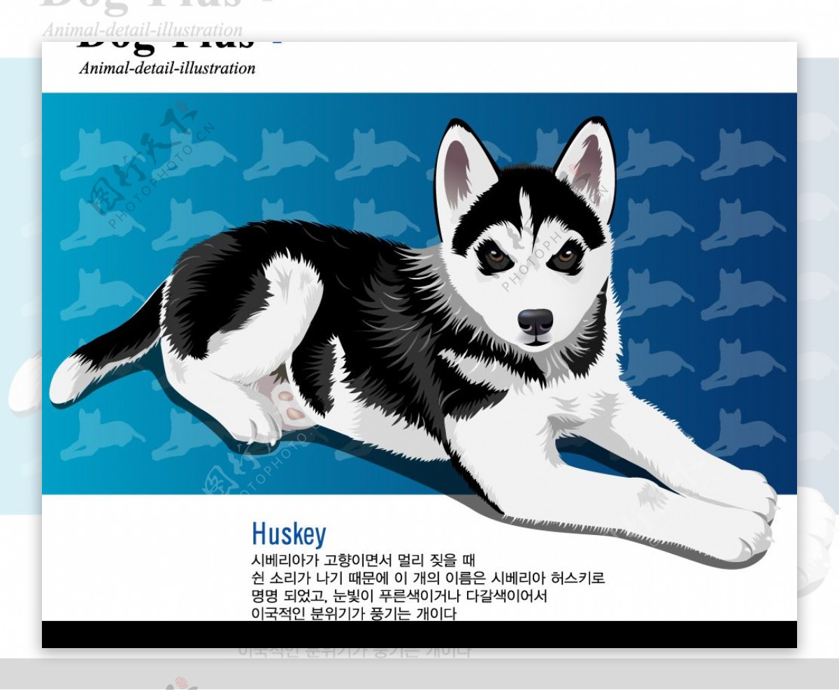 超过 10 张关于“那只狼狗”和“狼狗”的免费图片 - Pixabay