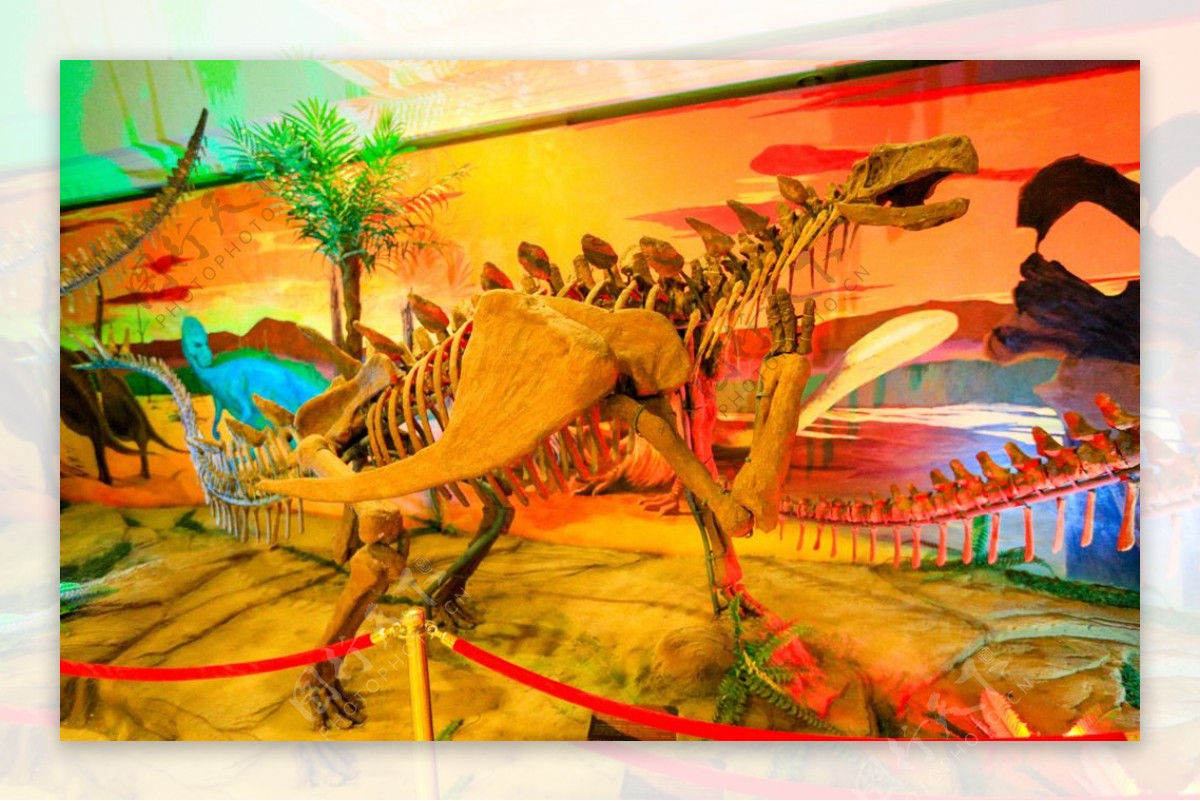 恐龙博物馆图片