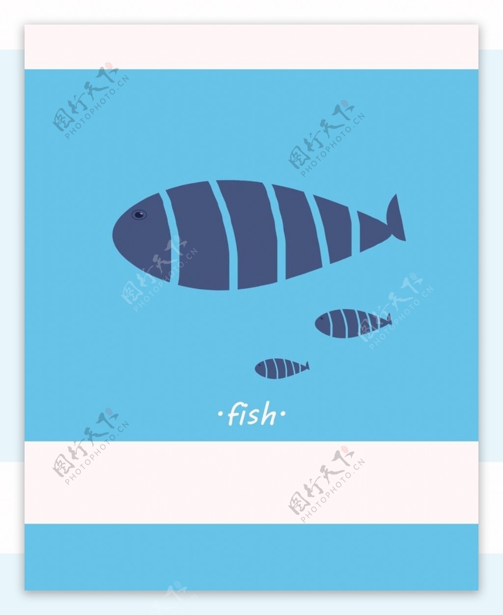 鱼图片