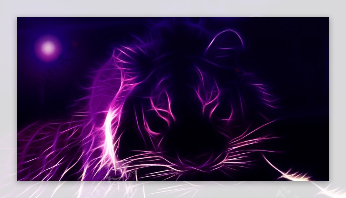 梦幻紫狮图片