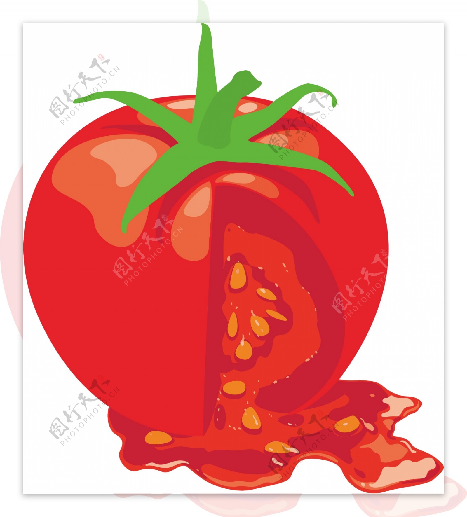 水果番茄图片矢量图