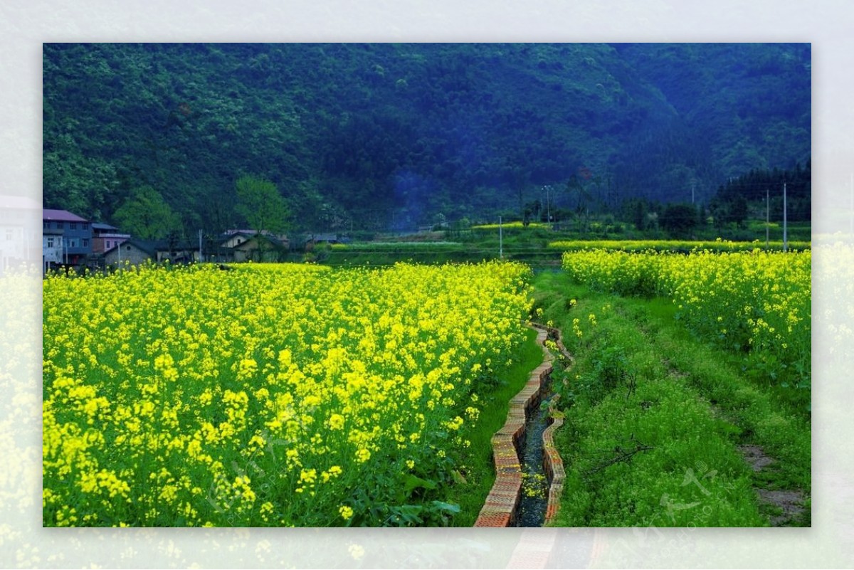江南春景图片