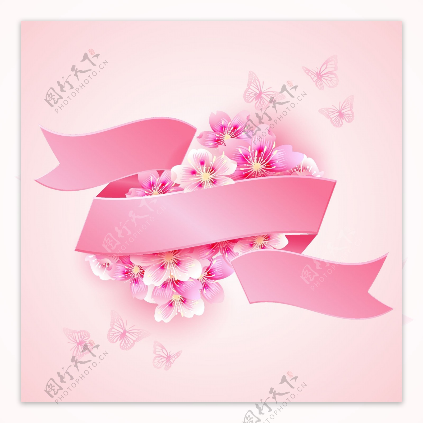 樱花丝带粉红图片