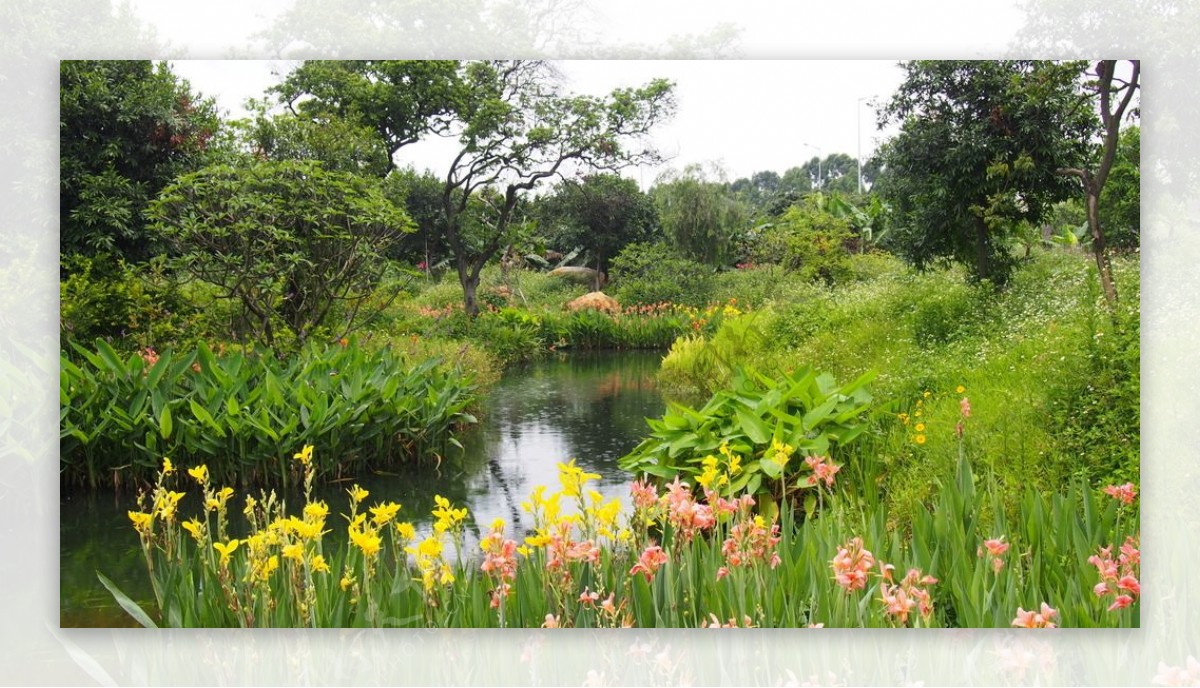广州海珠湿地公园图片