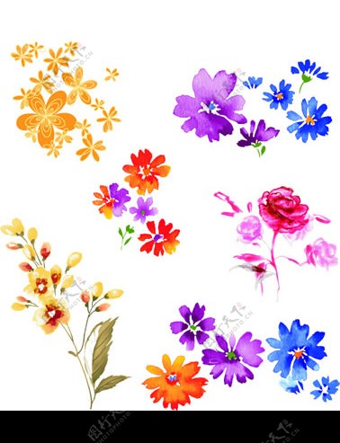 各类精美高精度花卉图案图片