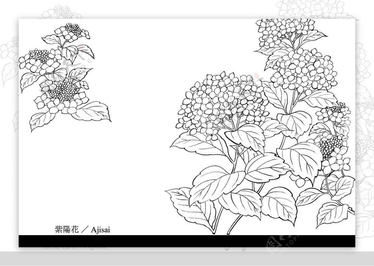 日本矢量素材.花草.动物图片