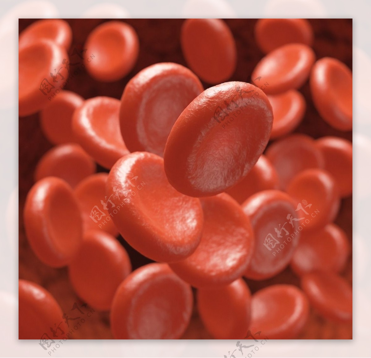 医学 红细胞 红血球 白细胞 白血球 血小板 3d三维全息|三维|其他三维|3dcat82 - 原创作品 - 站酷 (ZCOOL)