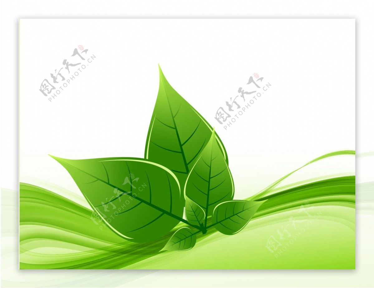 树叶叶子绿叶植物手绘贴纸素材和图片ID12bdCC_Fotor懒设计