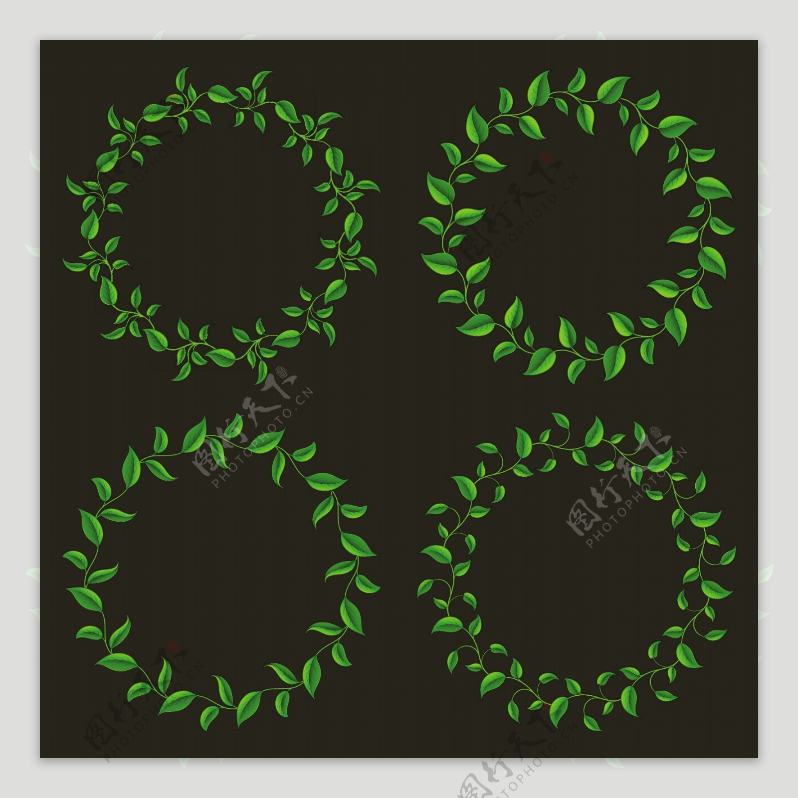 绿叶花圈花环图片