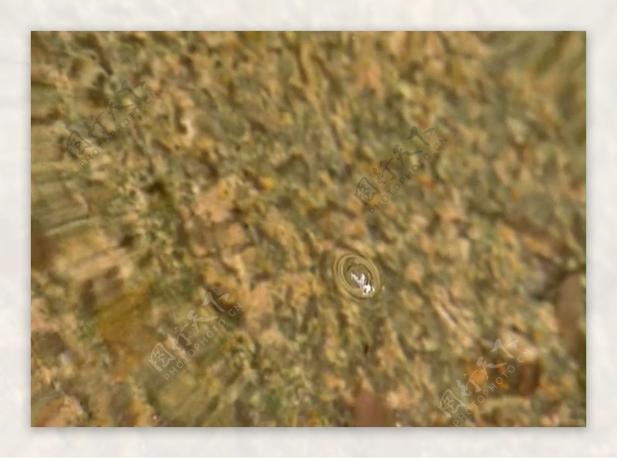 水滴水泡视频素材