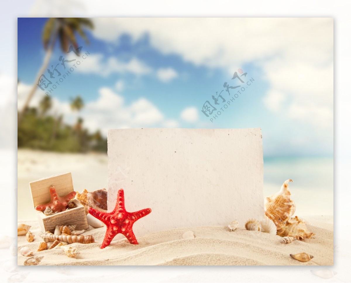 沙滩海滩卡片图片