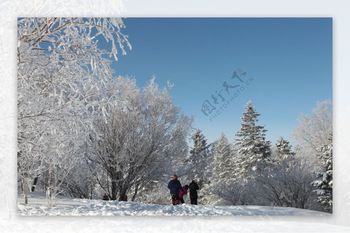 树挂干草雪地东北冬天图片素材-编号35842152-图行天下