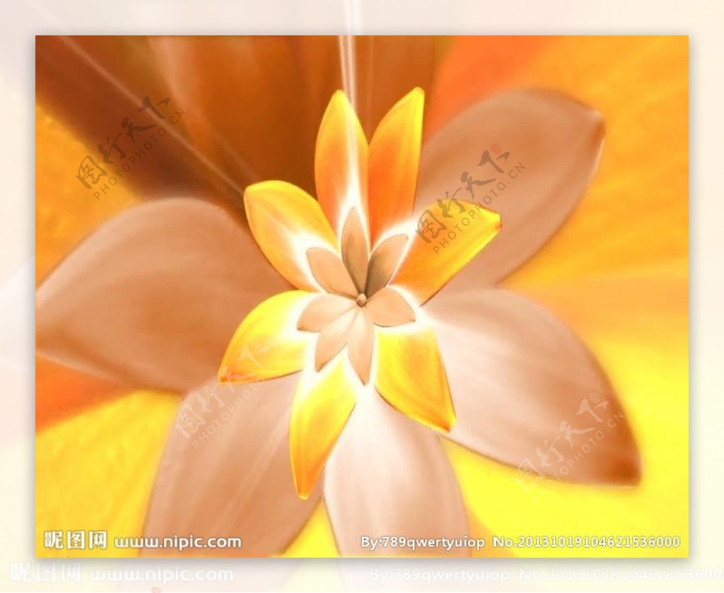金色花朵背景视频素材