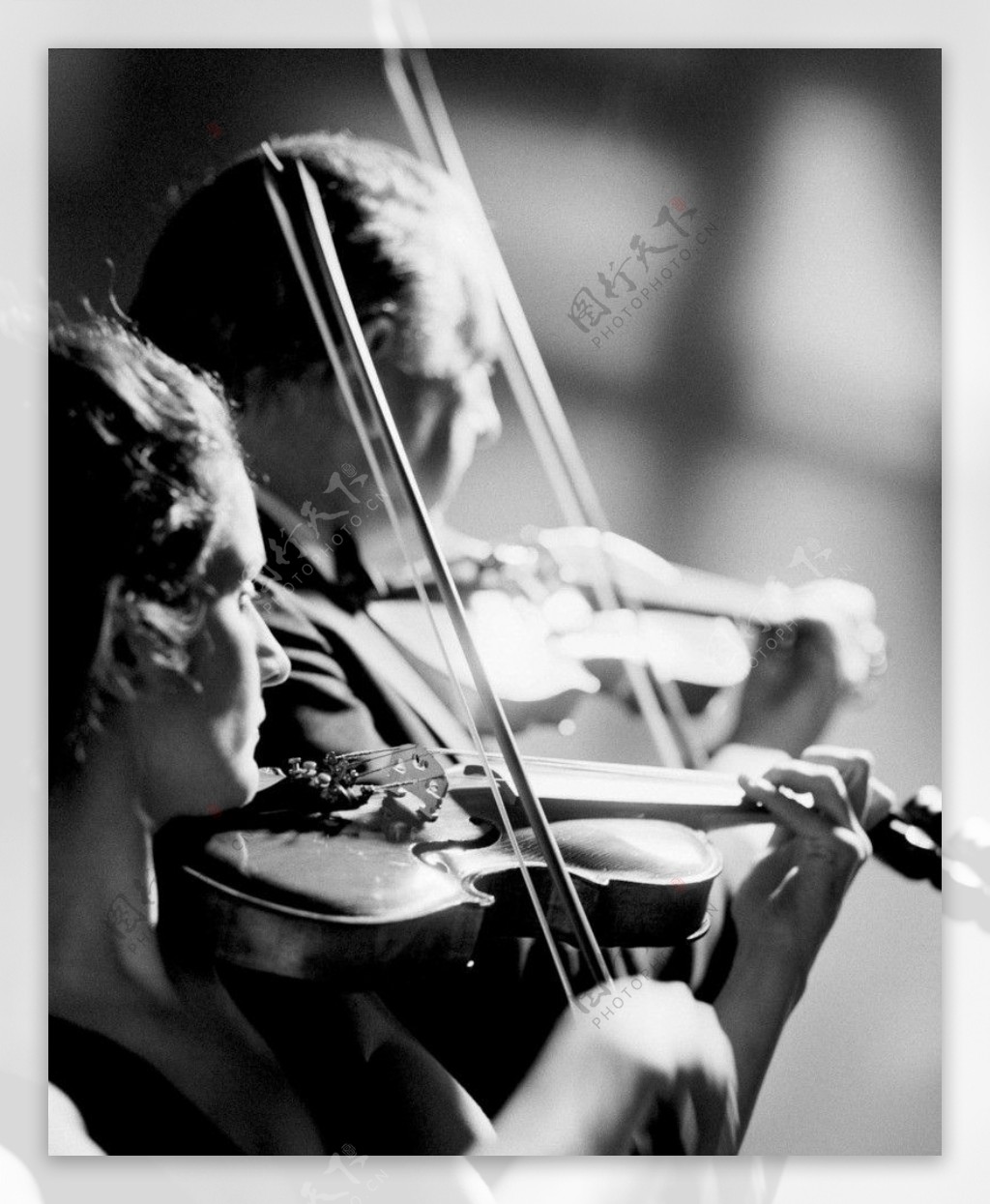 拉小提琴图片