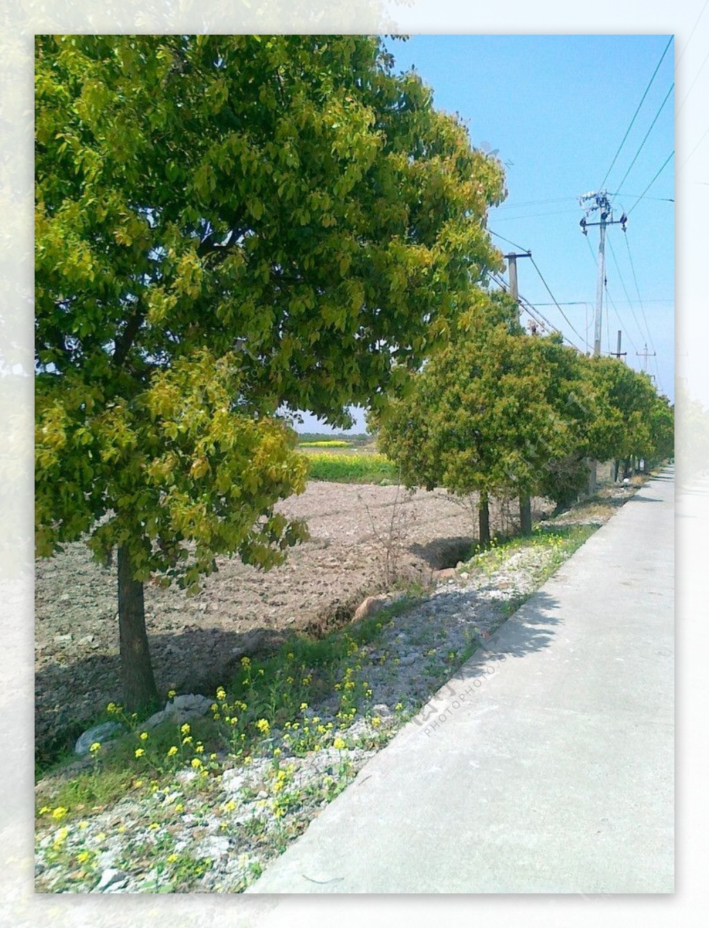 乡间田野图片