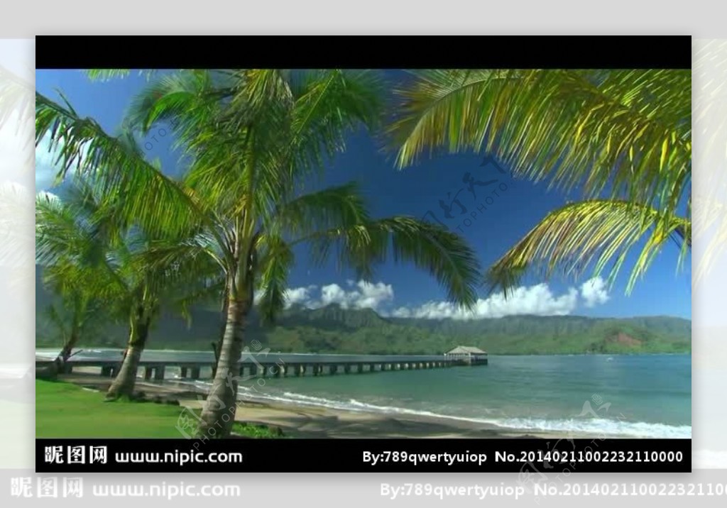 椰树海滩风景画视频