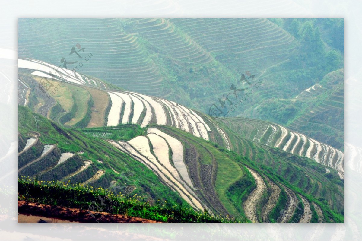 梯田风景图片