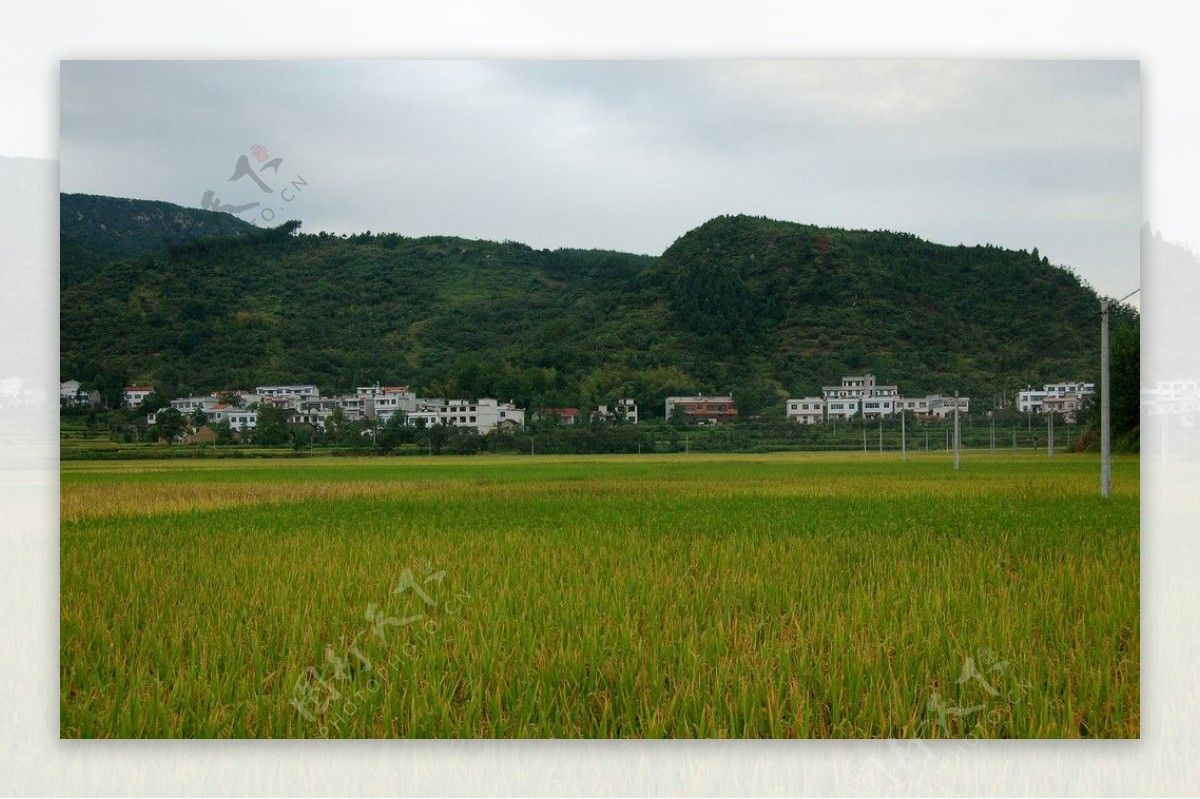 田园风光图片