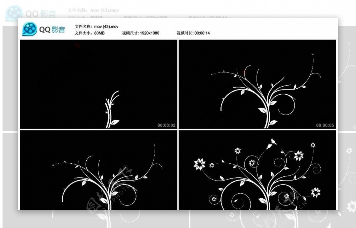 鲜花花藤生长视频实拍素材