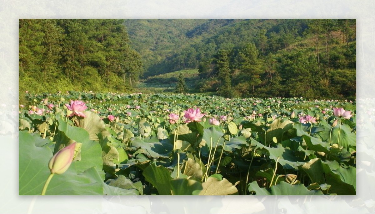 江西风光图片